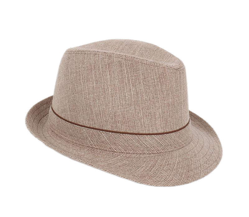 Spring&Autumn Men Fedoras  Top - Fedora Hat Wool 评论和价格